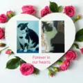 Andachtsbild von Annemarie und Elke mit Snoopy im Herzen gest.04.01.2022
