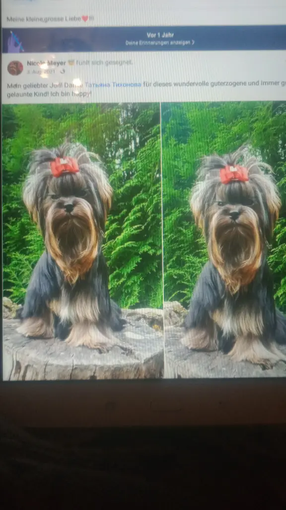 Andachtsbild von Nicky