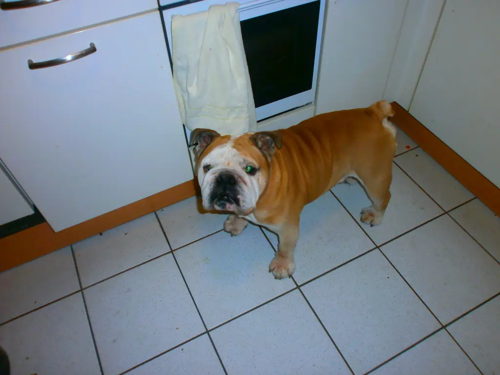 Image from Digga
