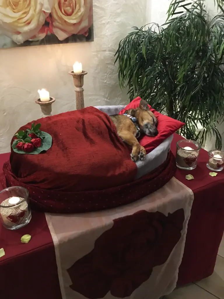 Condolence image of Martina Mordt