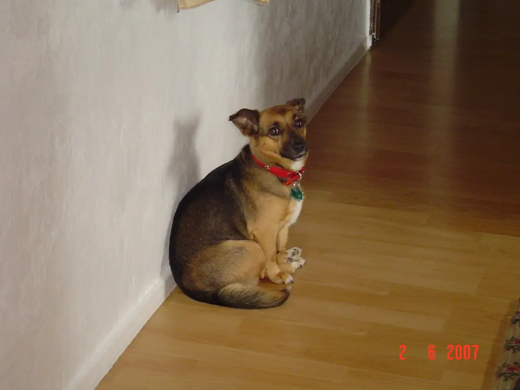 Image from Kira