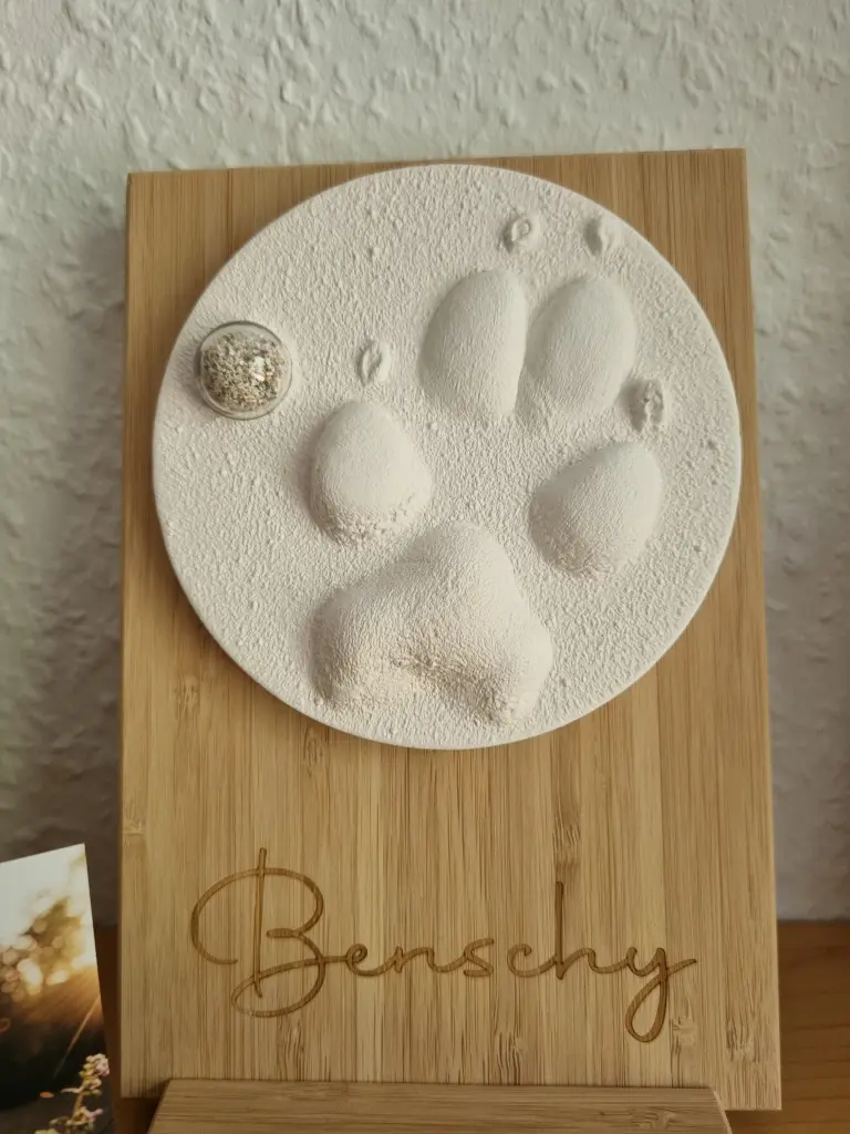 Bild von Benschy