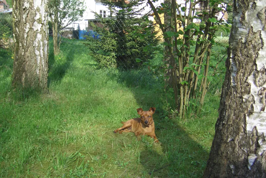 Condolence image of Jutta