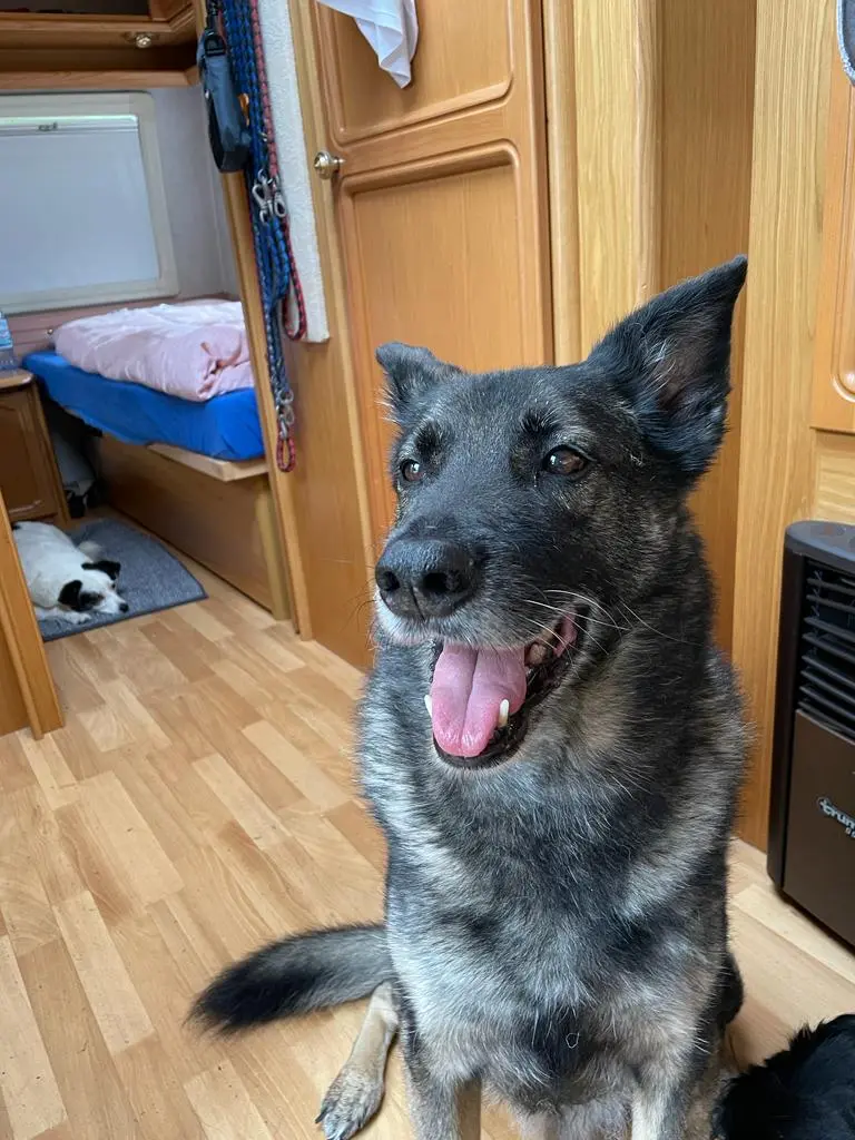 Andachtsbild von Michaela Federspiel