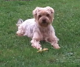 Andachtsbild von Ewa & Krzysztof mit Jacki tief im Herzen❤