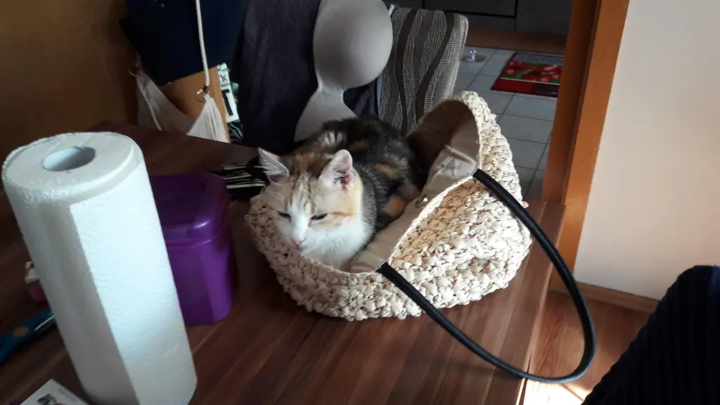 Condolence image of Katja
