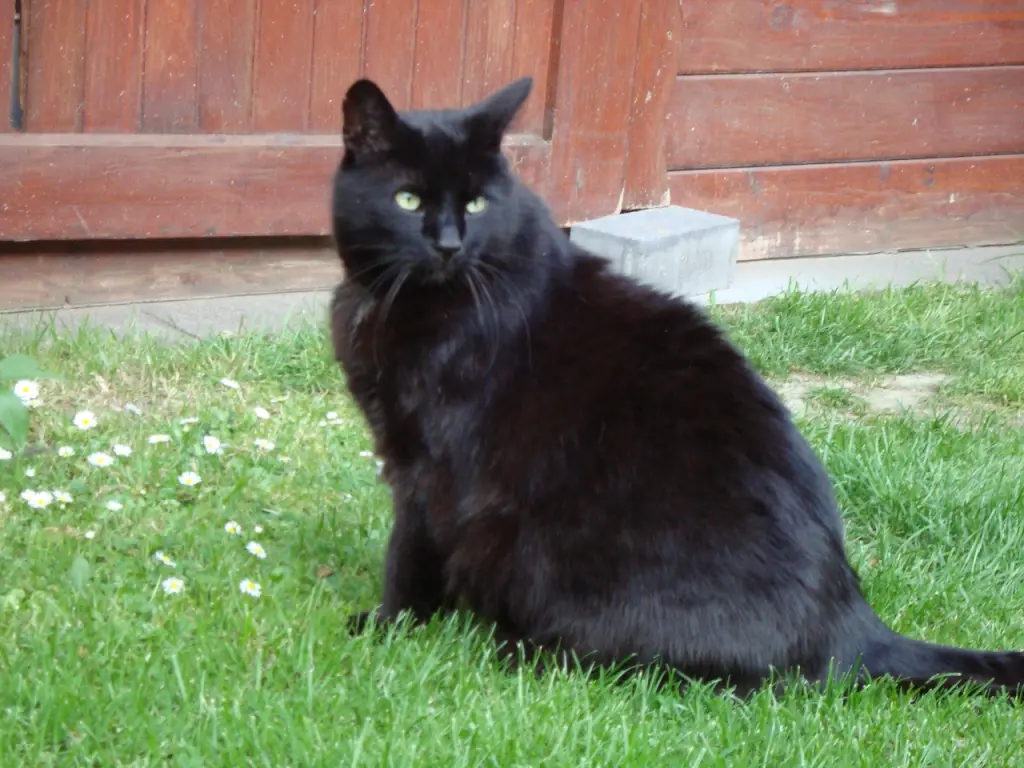 Condolence image of Uschi 