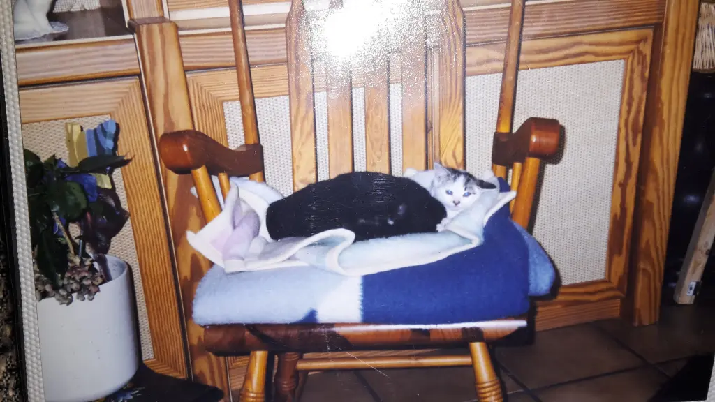 Image from Gismo