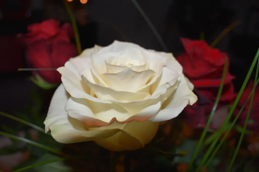 Condolence image of Unbekannt