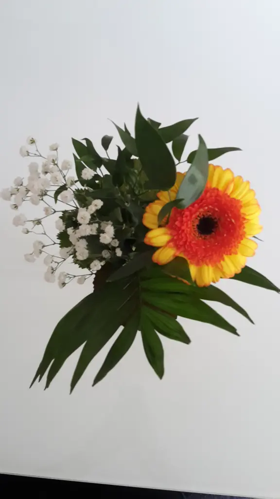 Condolence image of S&B&S