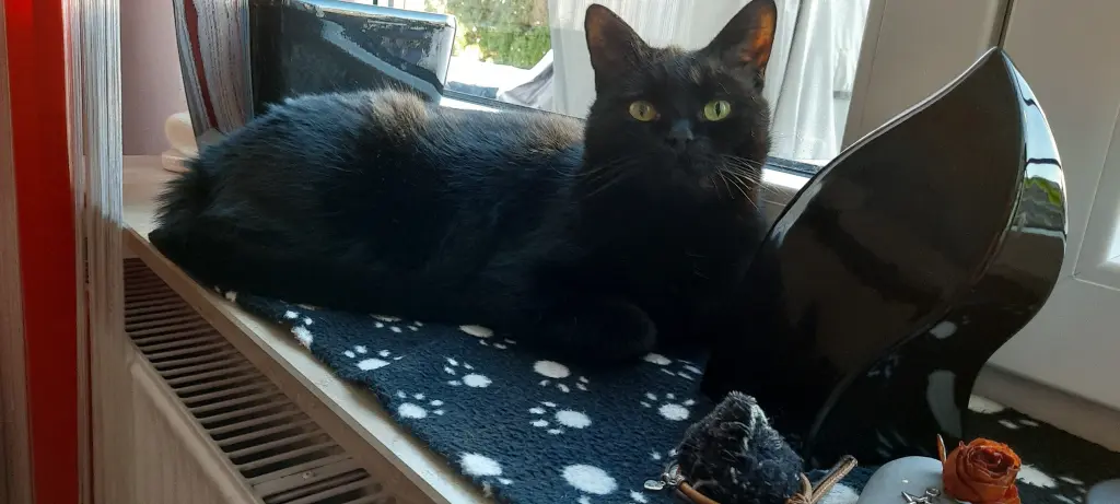 Condolence image of Fritzi