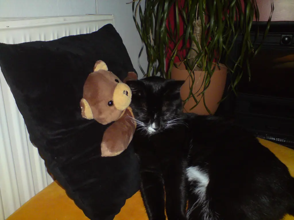 Condolence image of Unbekannt