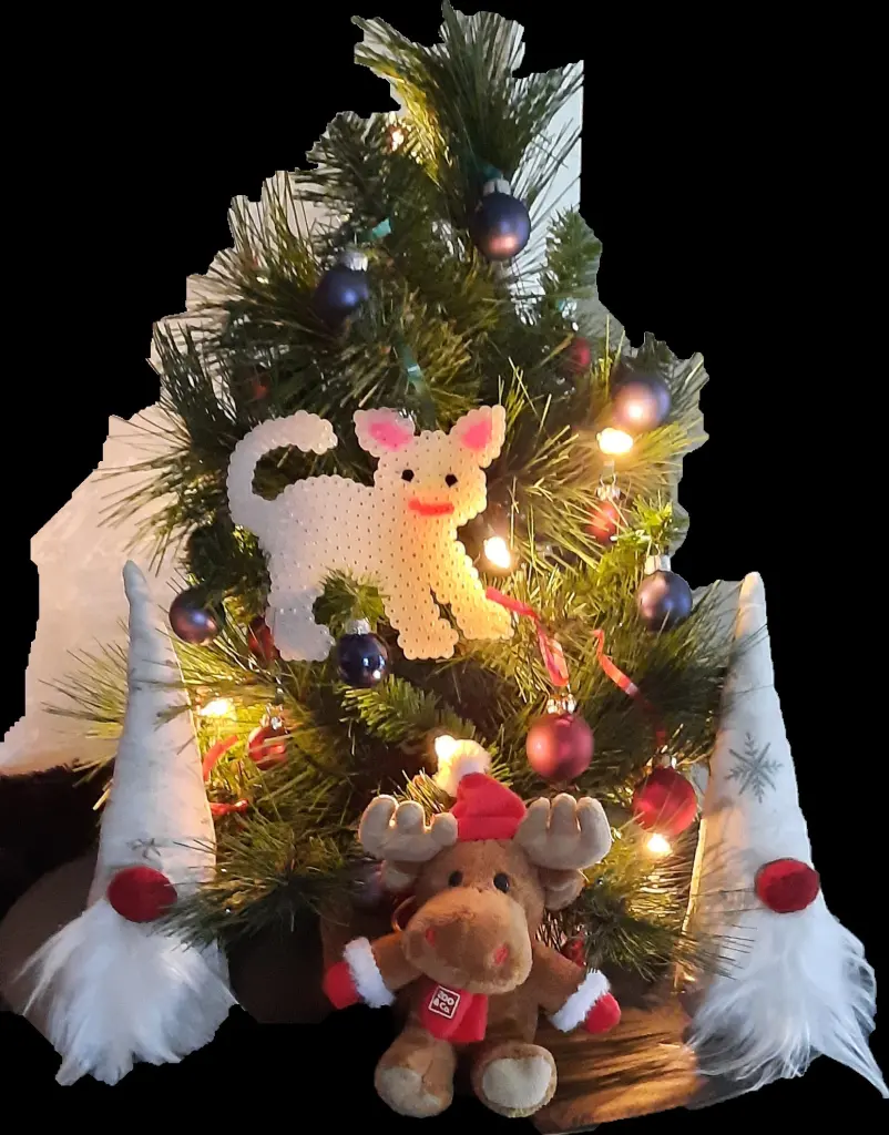 Condolence image of Fritzi