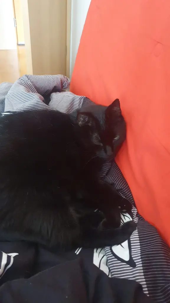 Andachtsbild von Claudia  Lemoine 