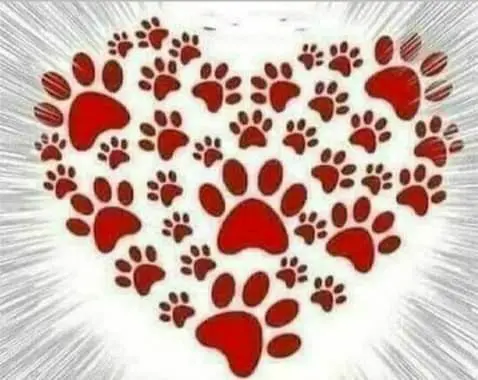 Andachtsbild von Martina mit Seelenhund Samy ♥️⭐♥️ für immer im Herzen