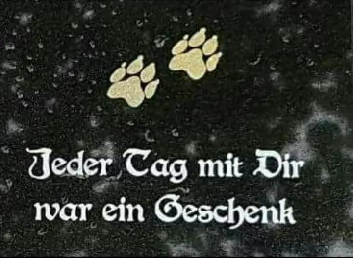 Andachtsbild von Ein lieber Sonntagsgruß ♥️