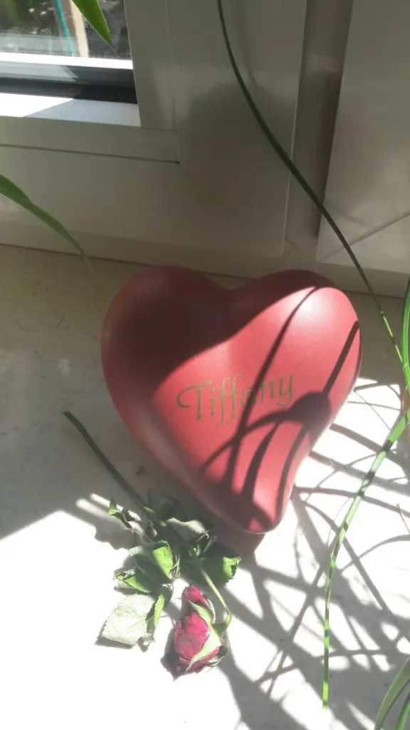 Image from Tiffany