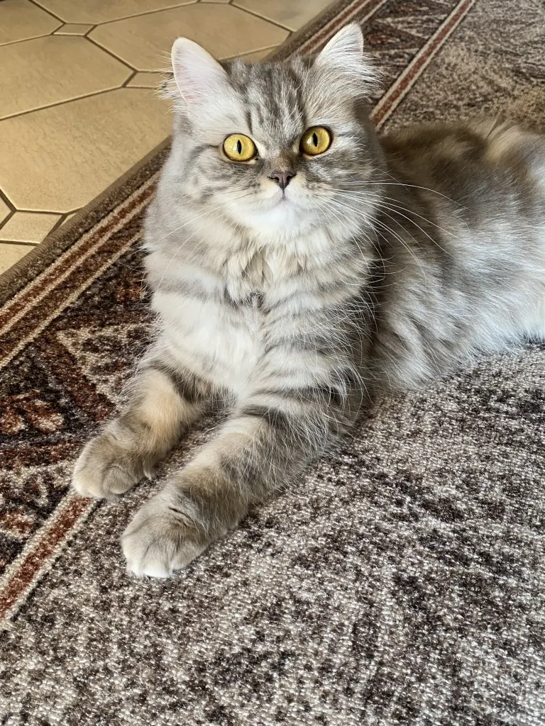 Andachtsbild von Astrid 