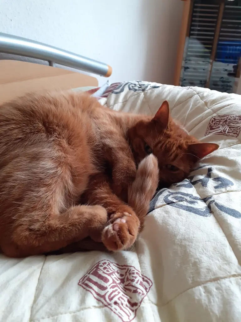 Andachtsbild von Birgit mit Max im Herzen ❤