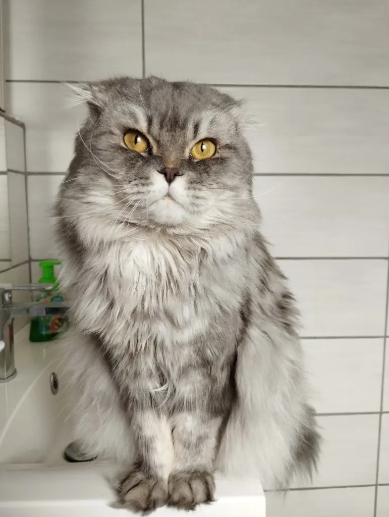 Andachtsbild von Daniela Hahn-Amann