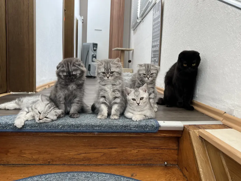 Andachtsbild von Sebastian & Patrick