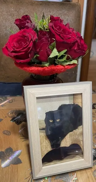 Andachtsbild von Patrick Sebastian 