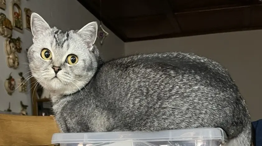 Andachtsbild von Patrick Sebastian