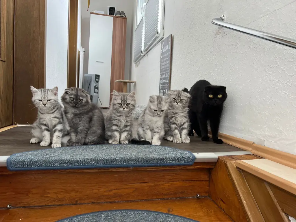 Andachtsbild von Patrick Sebastian