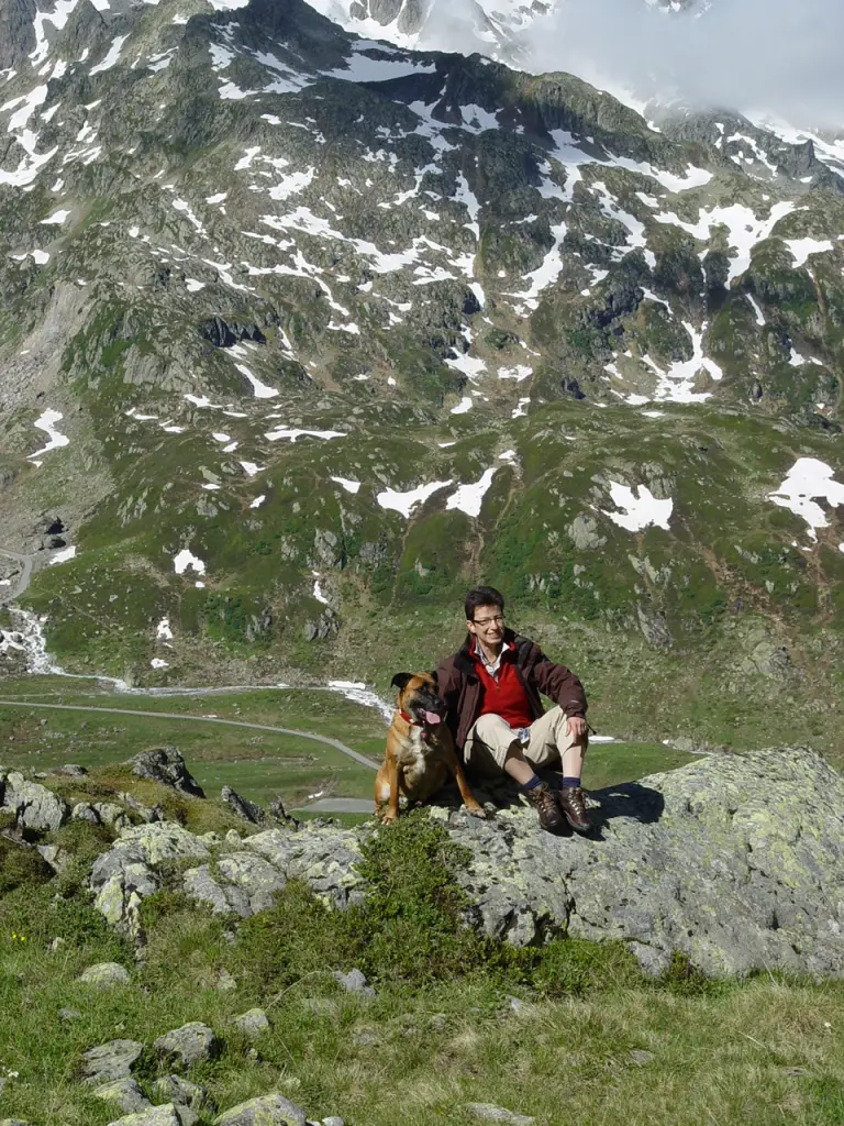 Image from Roxy