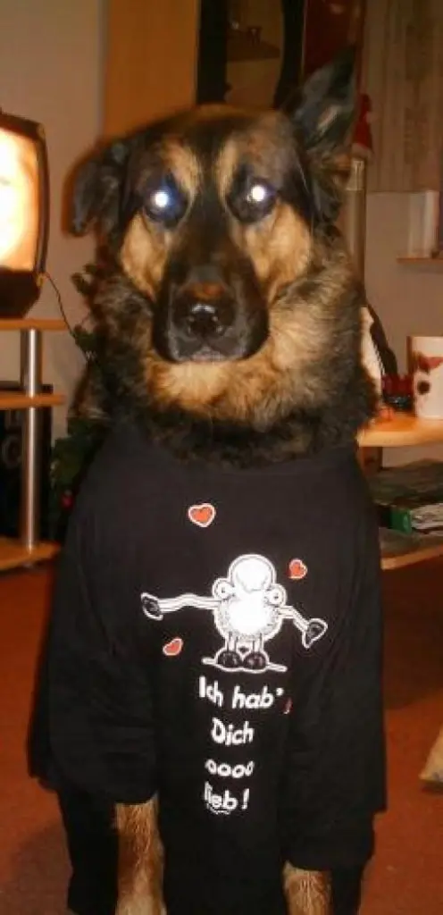 Image from Zeus (meine Keule)