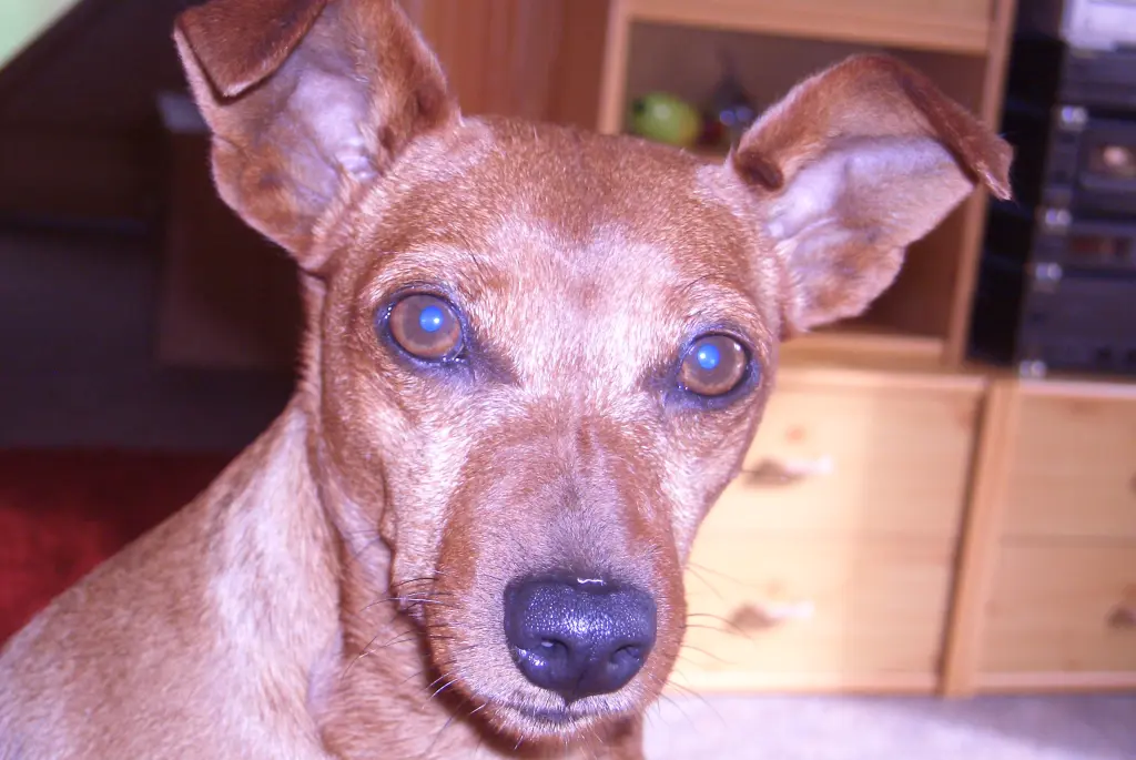 Condolence image of Jutta