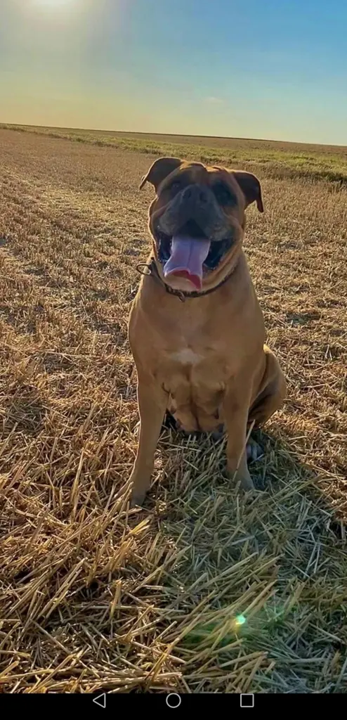 Andachtsbild von Annette mit Emma tief im Herzen ❤️