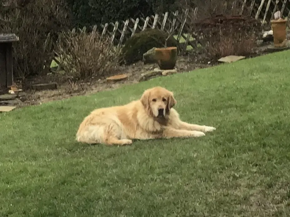 Andachtsbild von Angelika mit Luna von ❤️ + 02.03.2023