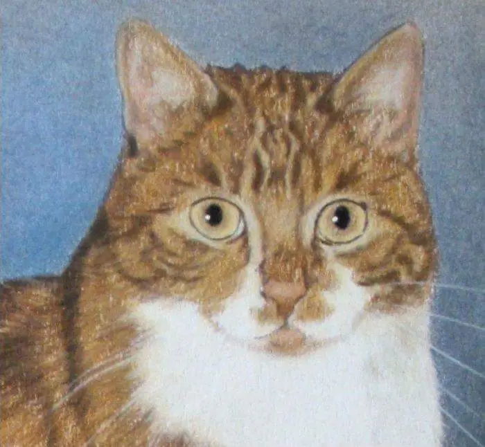 Bild von meinen Tiger