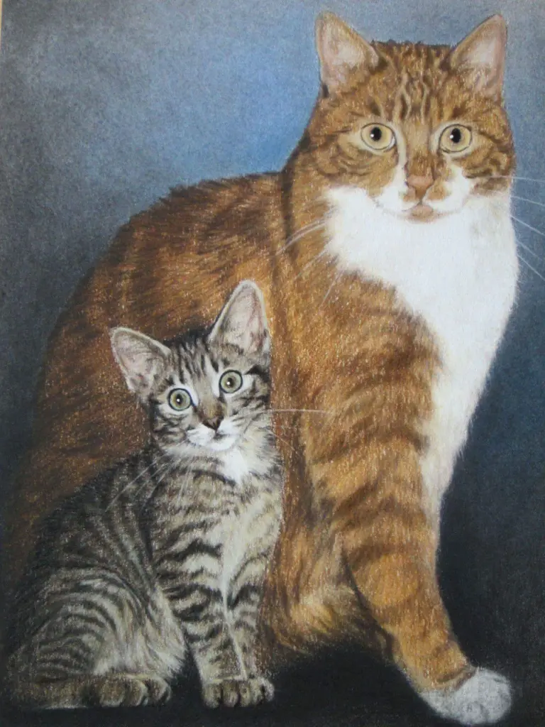 Bild von meinen Tiger