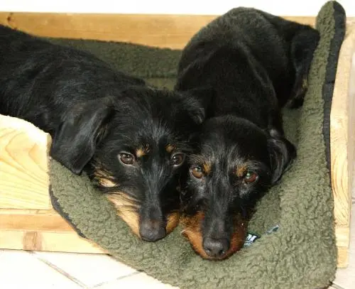 Bild von Ebba v.d. Ziegelquelle