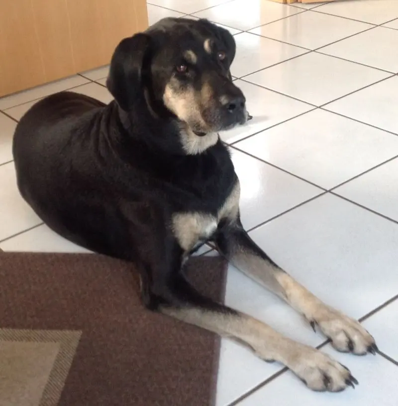 Condolence image of Sabine 