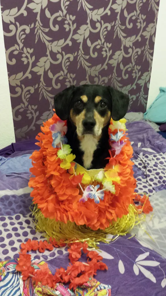 Image from Lucky