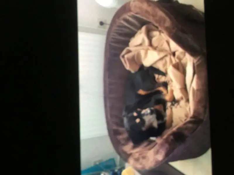 Image from Lucky