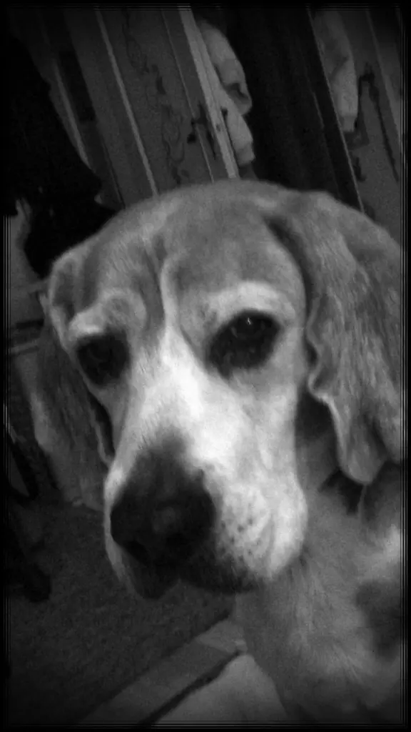 Image from Max
