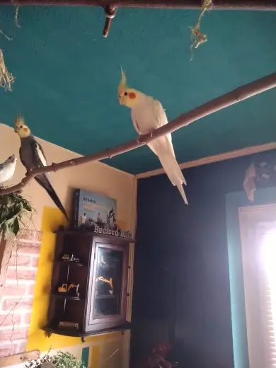 Andachtsbild von Michael mit Anna tief im Herzen