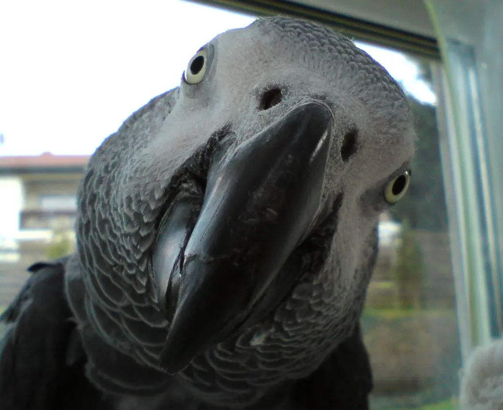 Andachtsbild von Rüdiger Schorr