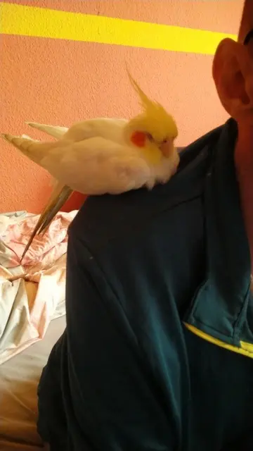 Andachtsbild von Michael mit Anna tief im Herzen