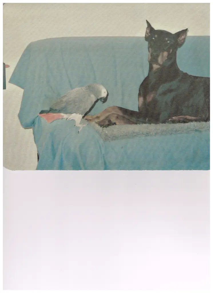 Andachtsbild von Rüdiger Schorr