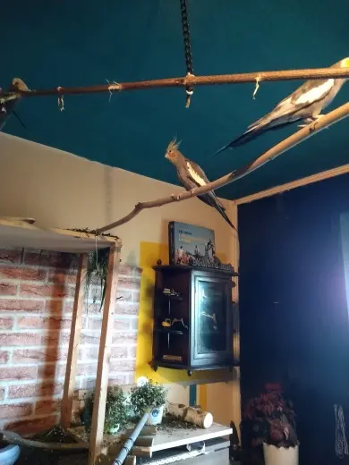 Andachtsbild von Michael mit Anna und Gizmo im Herzen