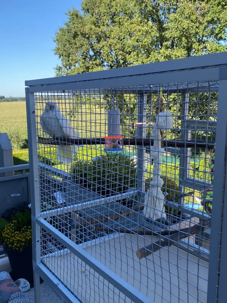 Andachtsbild von Andrea