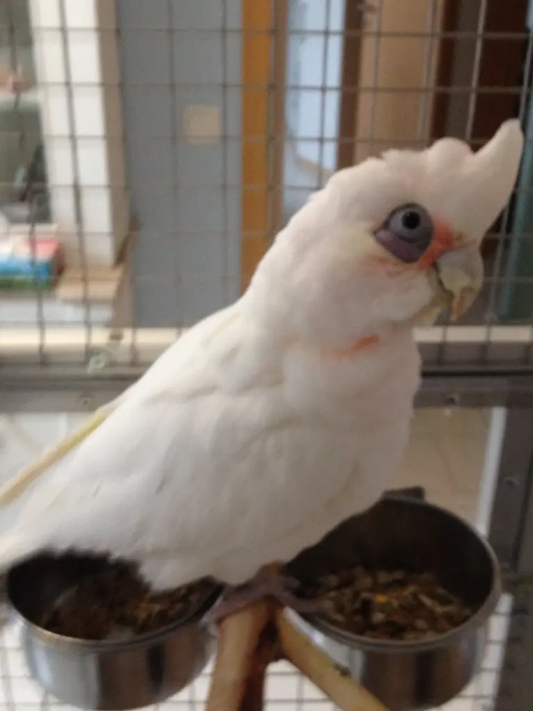 Andachtsbild von Andrea 