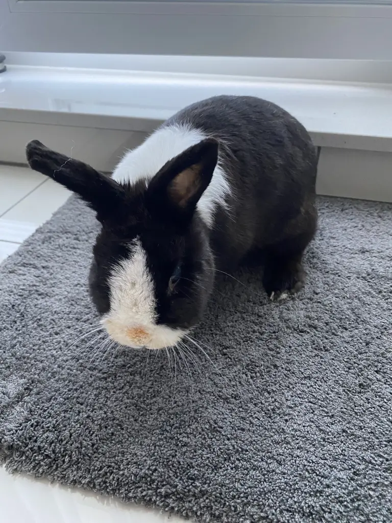 Andachtsbild von Andrea 