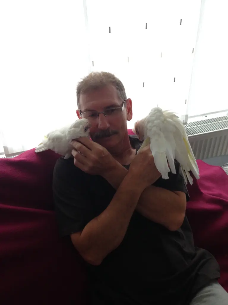 Andachtsbild von Andrea