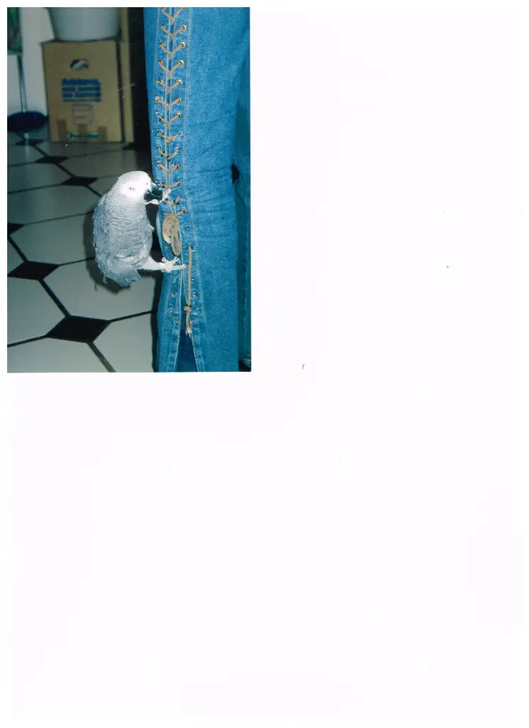 Andachtsbild von Rüdiger Schorr